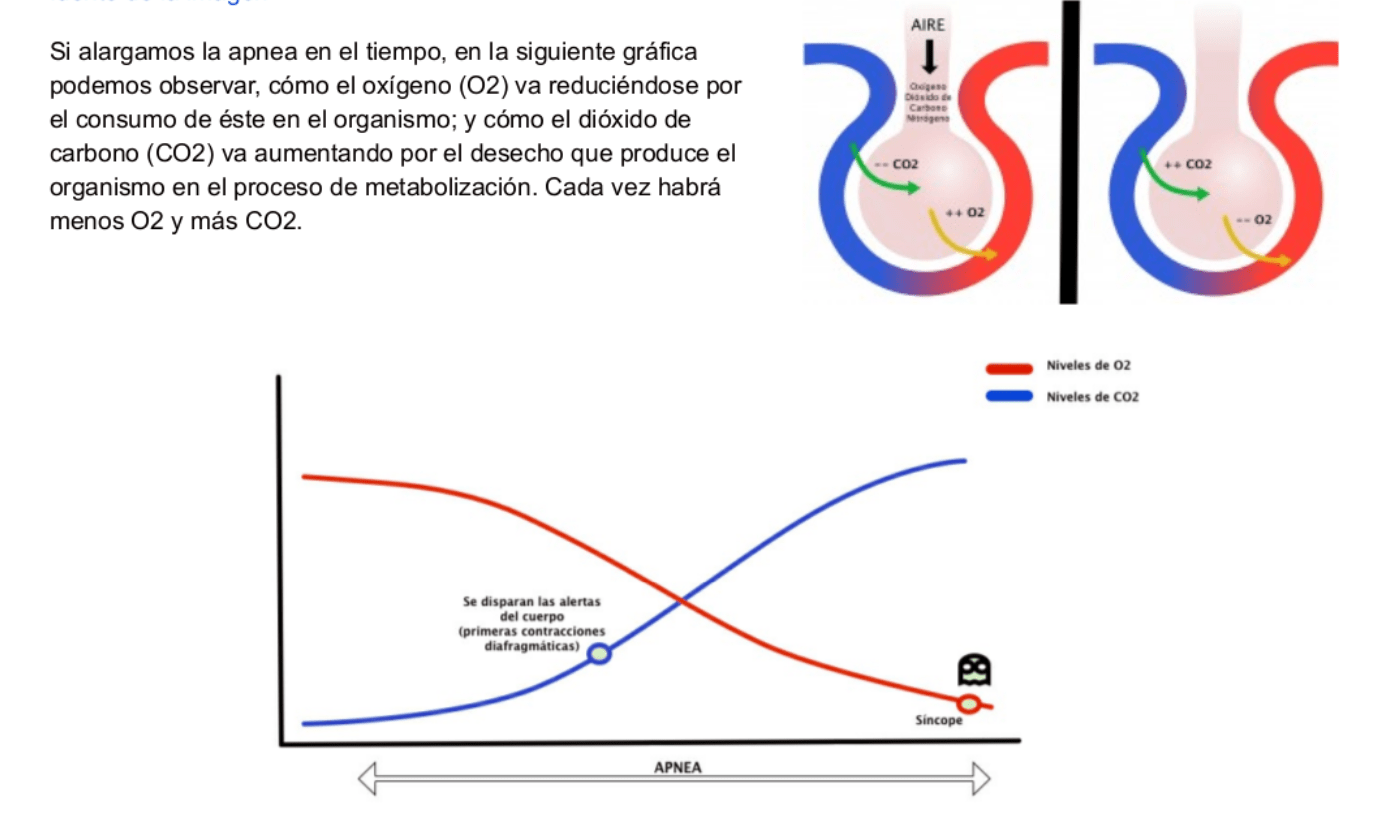 Apnea aplicado al surf