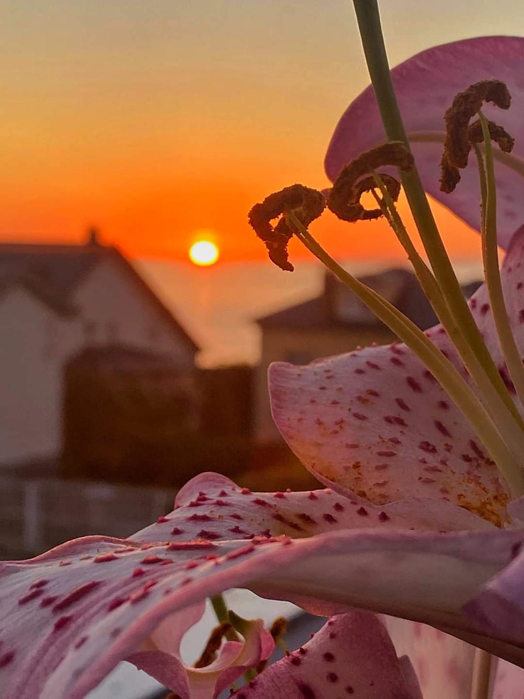 Atardecer desde San Blas