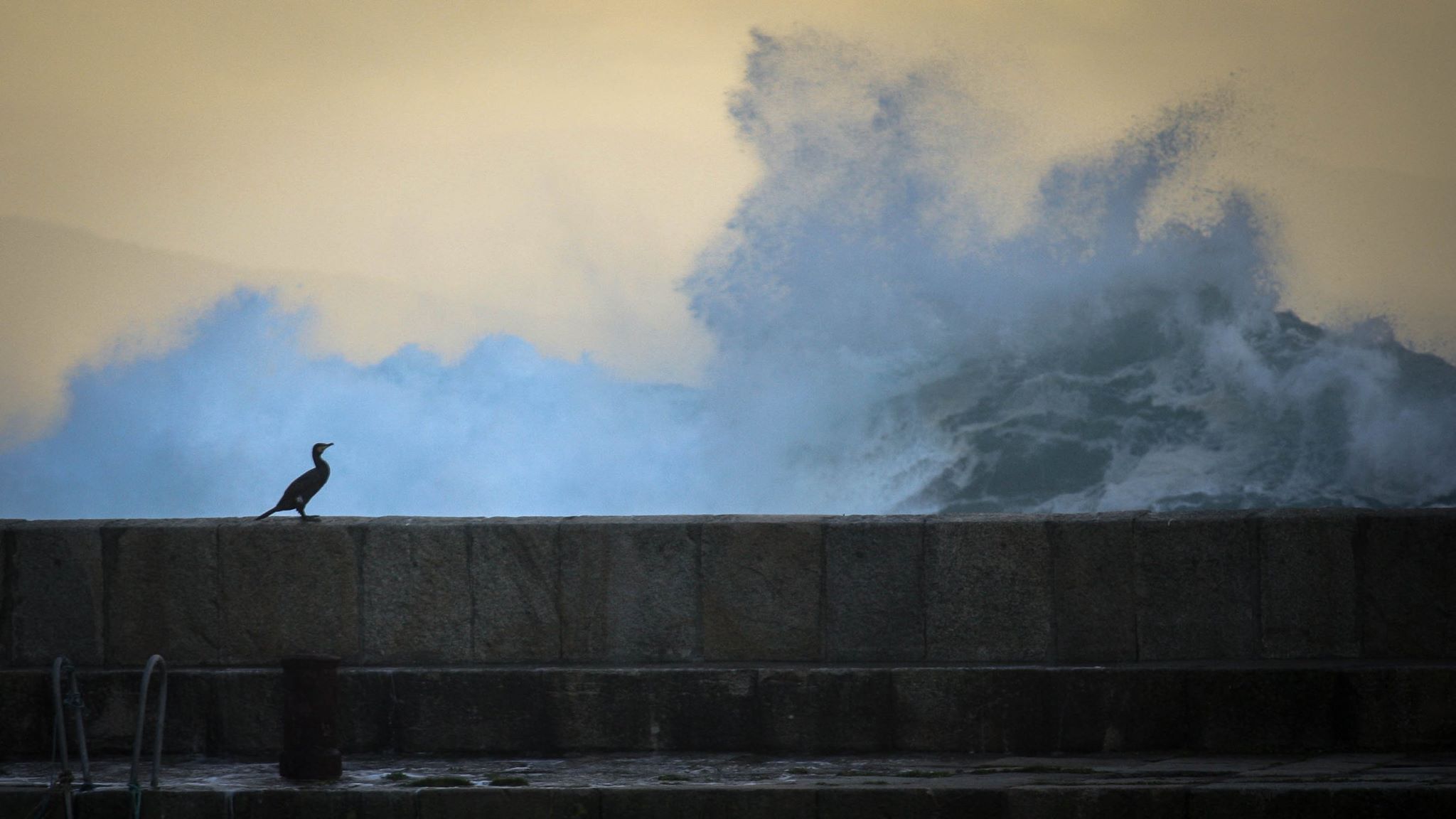 Lampariego observando la galerna en Tapia de Casariego
