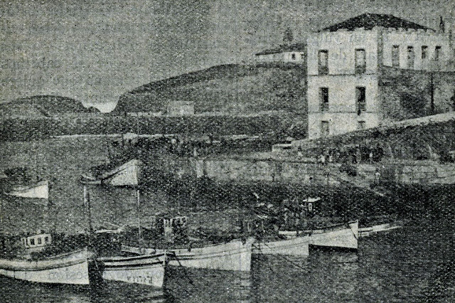 Flota de barcos amarrados al muelle de Tapia de Casariego
