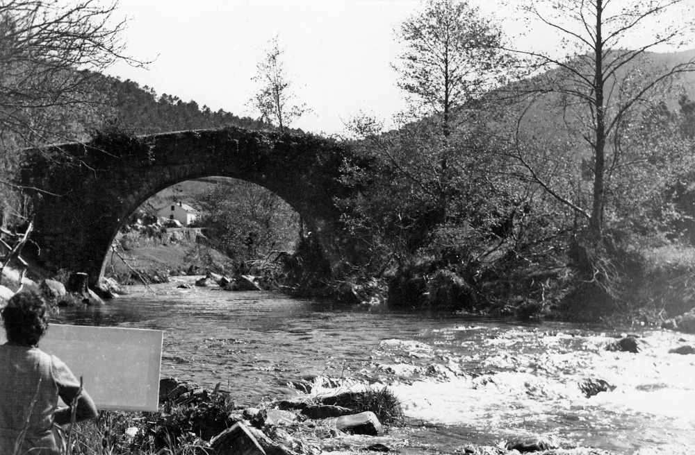 Vista del puente de la Veguina sobre el río Porcia