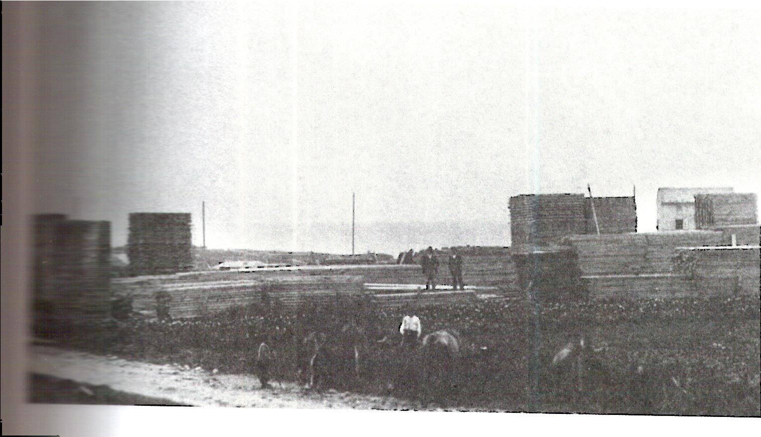 Al fondo aserradero de madera La Industrial