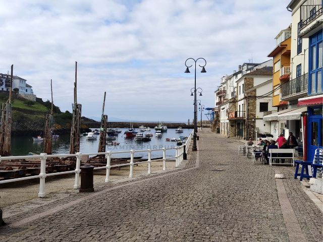 Paseando por el muelle de Tapia